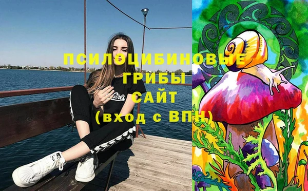 тгк Абаза