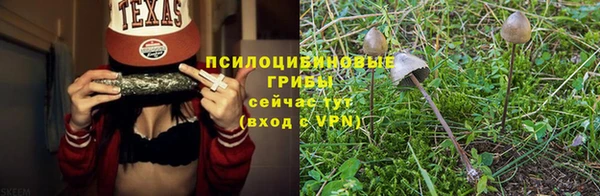 тгк Абаза