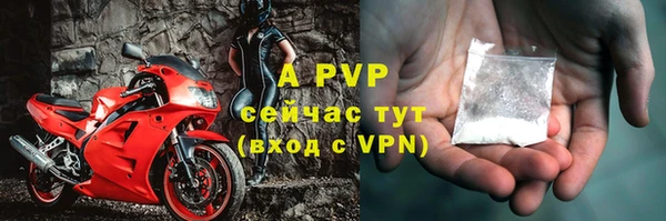 стафф Алексин