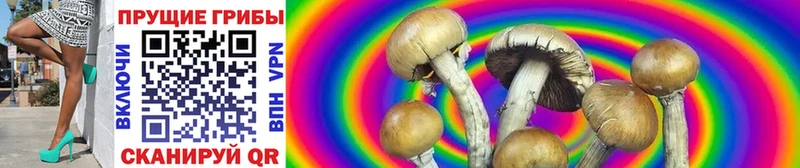 Галлюциногенные грибы Cubensis  Севастополь 